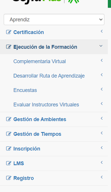 Ejecución formación